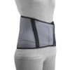 Picture of Sacro Brace, 10-Inch Back, Criss-Cross Support, Se
