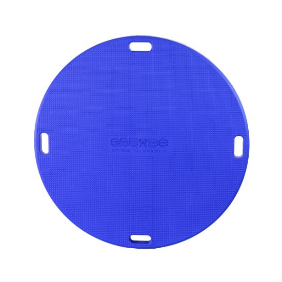 Picture of CanDo MVP board only, multi-vestibular board with three pivot positions
