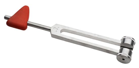 Picture of Taylor hammer with 128 cps tuning fork