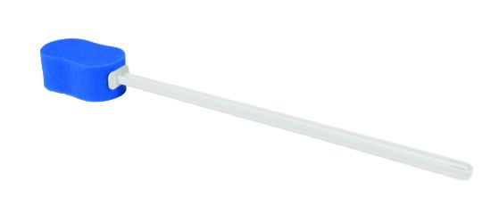 Picture of Straight handle contoured sponge
