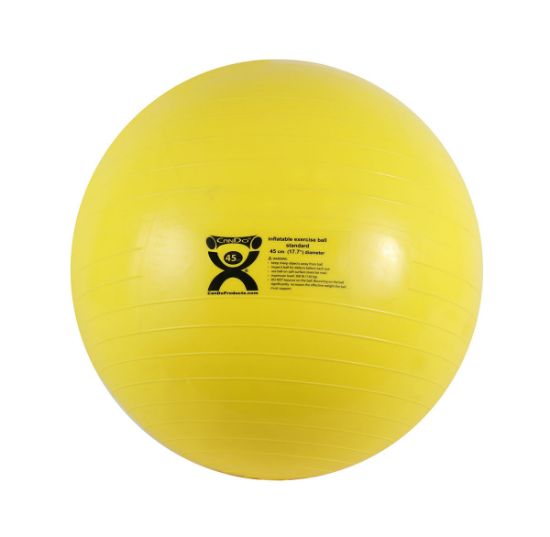 Picture of CanDo ABS inflatable ball