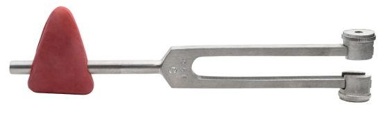 Picture of Taylor hammer with 256 cps tuning fork