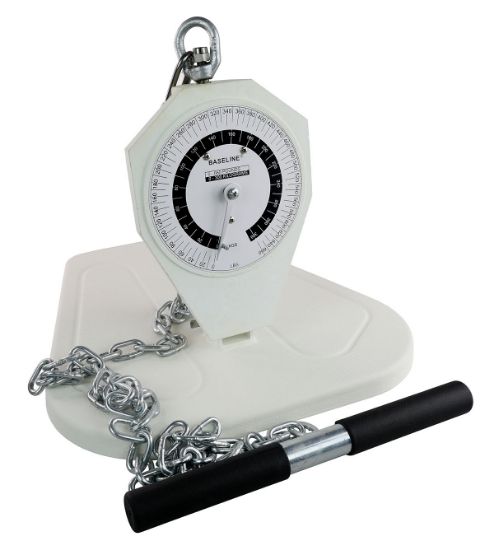 Picture of Baseline back, leg, chest dynamometer, child, 165 lb.