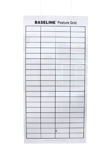 Picture of Baseline posture grid